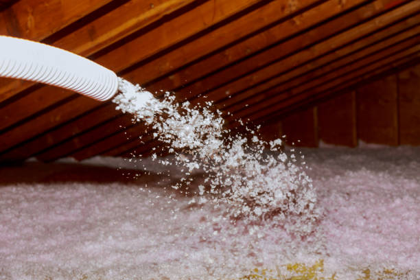 Best Insulation Installation Services in Eden, TX
